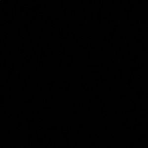 Meet your Posher, Haleema